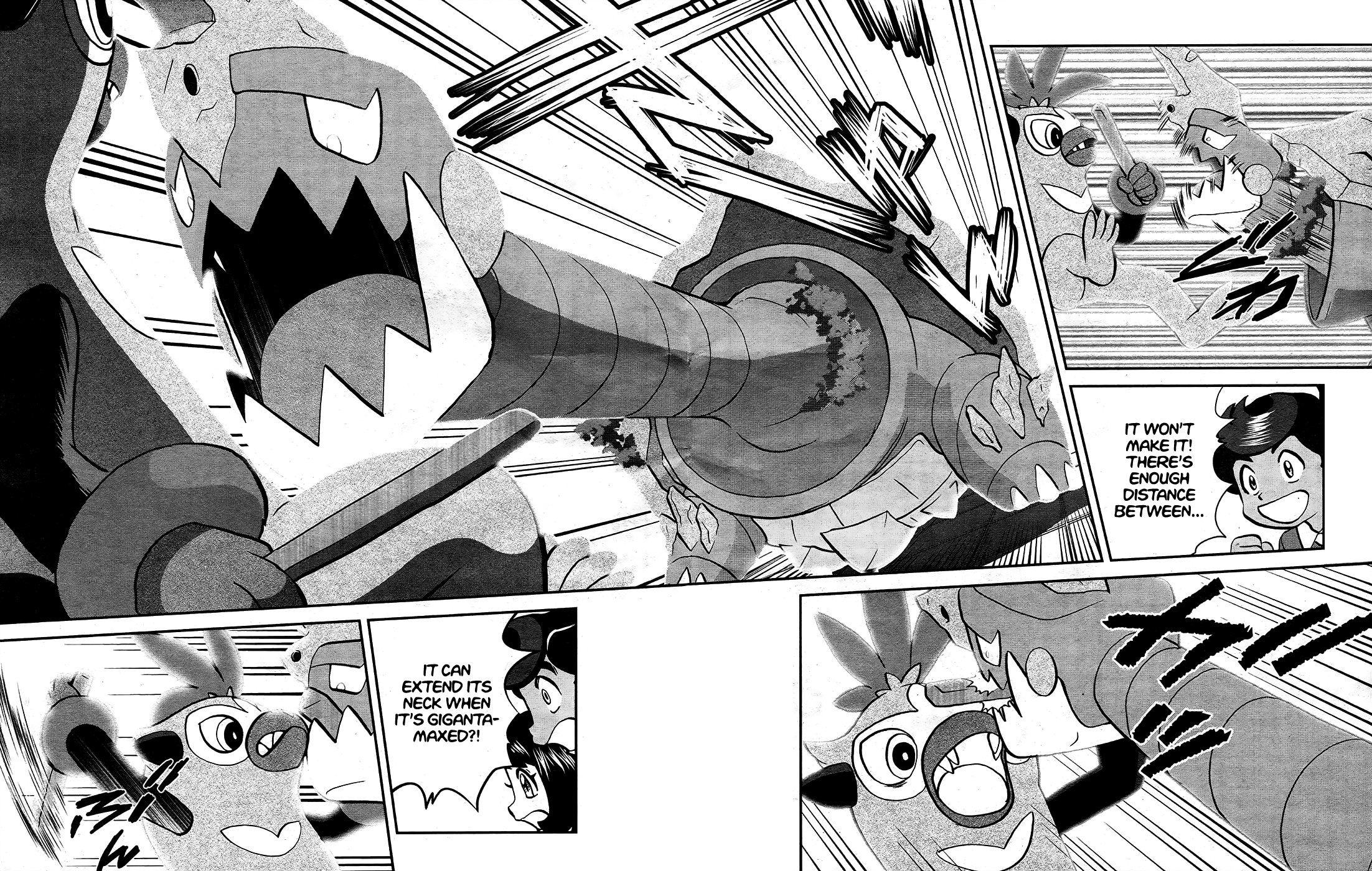 Pokémon SPECIAL Sword and Shield Chapter 9 12